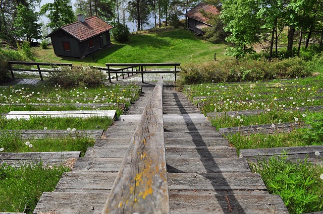 Svensk landsbygd